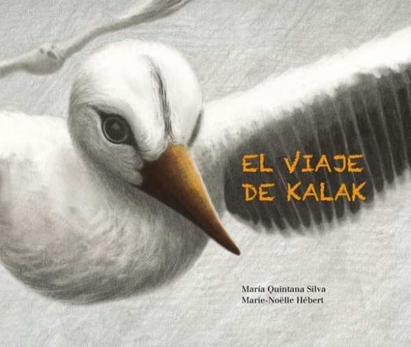 regalo libro de niños