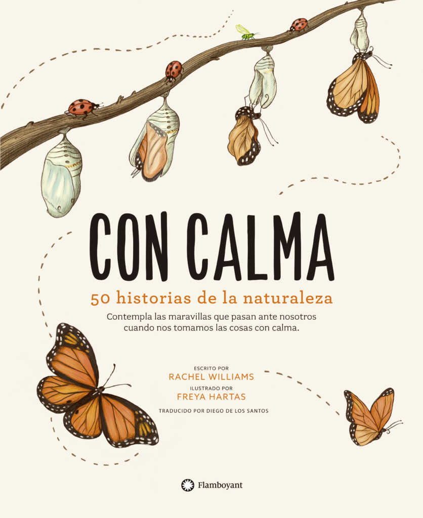 libro regalo niños