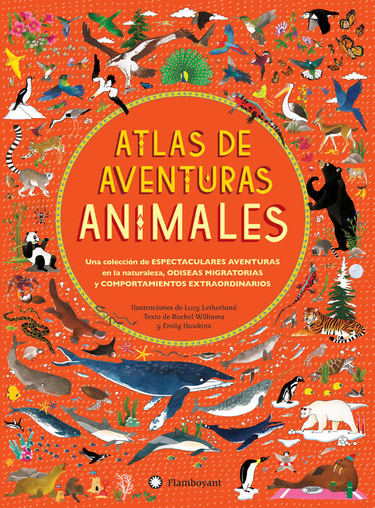 comprar libro regalo niños