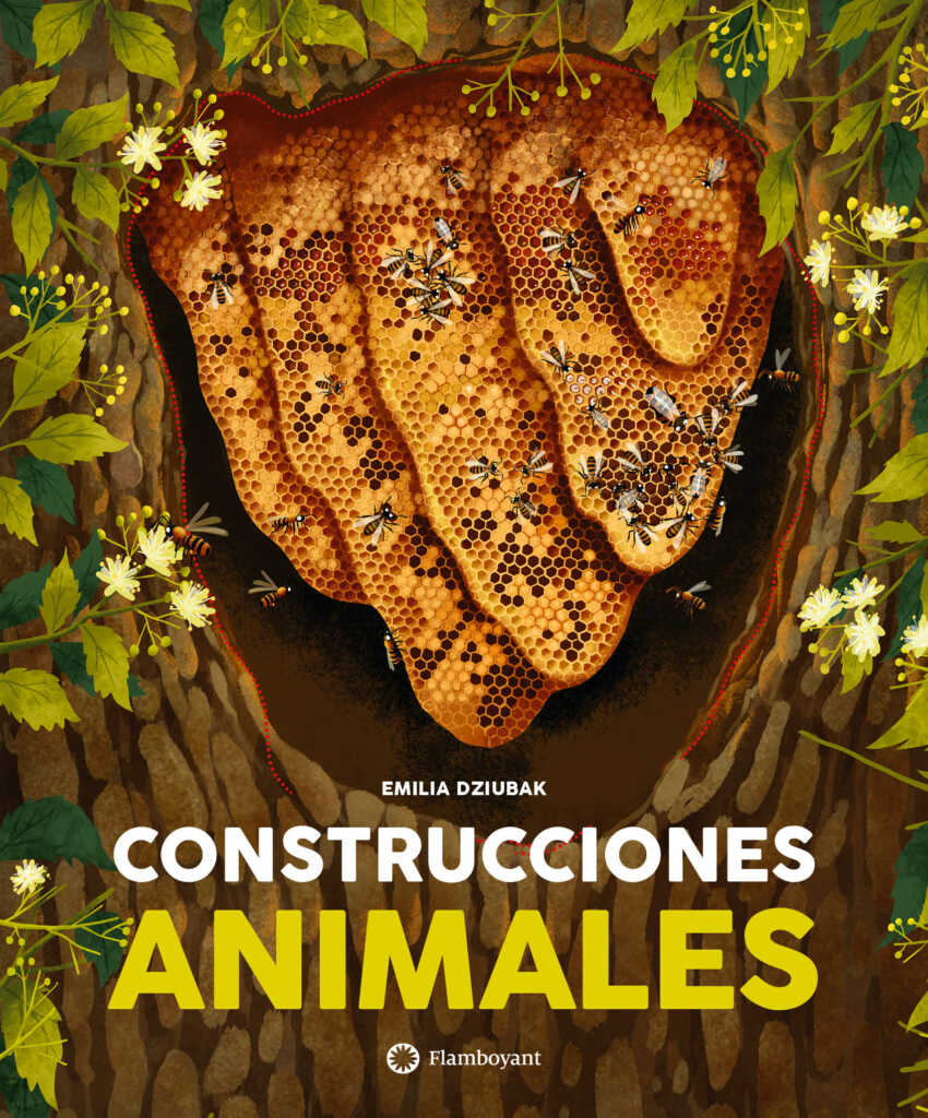 comprar libro regalo niños