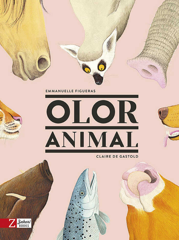 comprar libro regalo niños