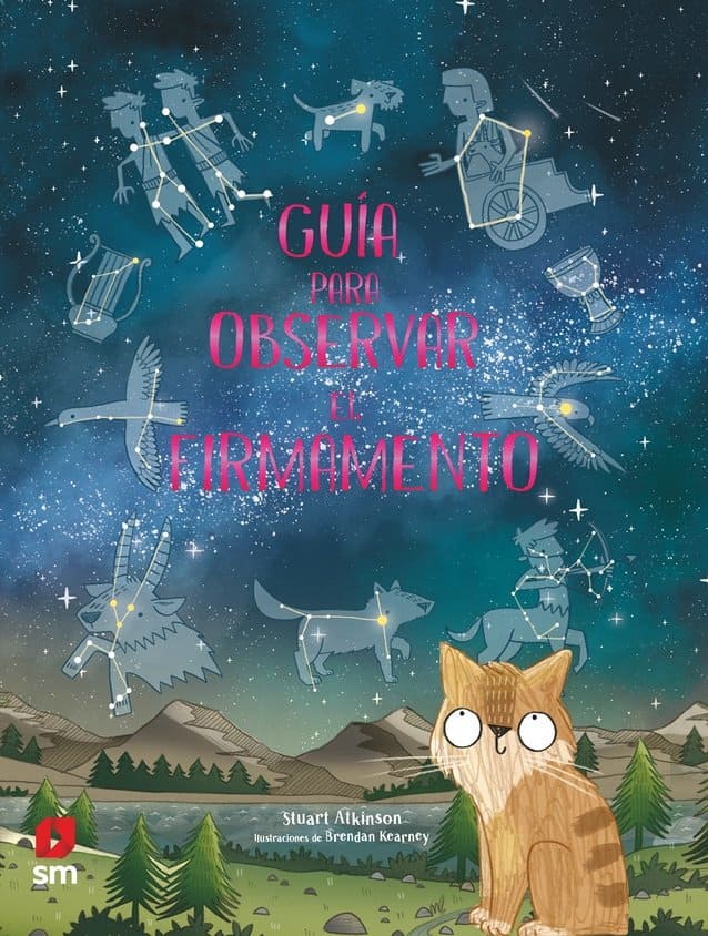 Libro regalo niños