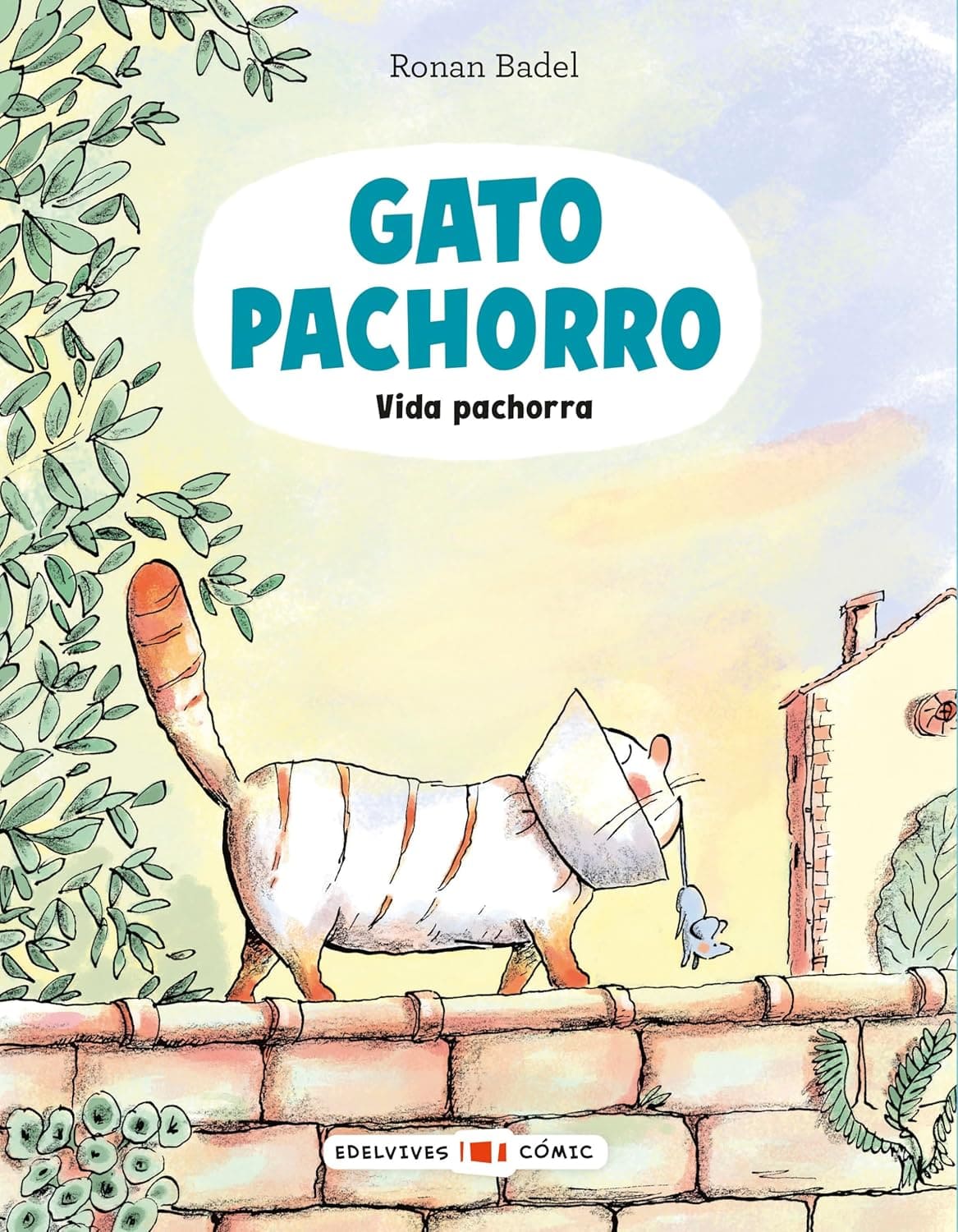 3.Gato Pachorro-Vida pachorra